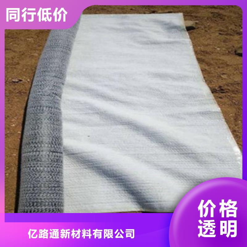 防水毯雙向塑料土工格柵買的放心安興用的舒心