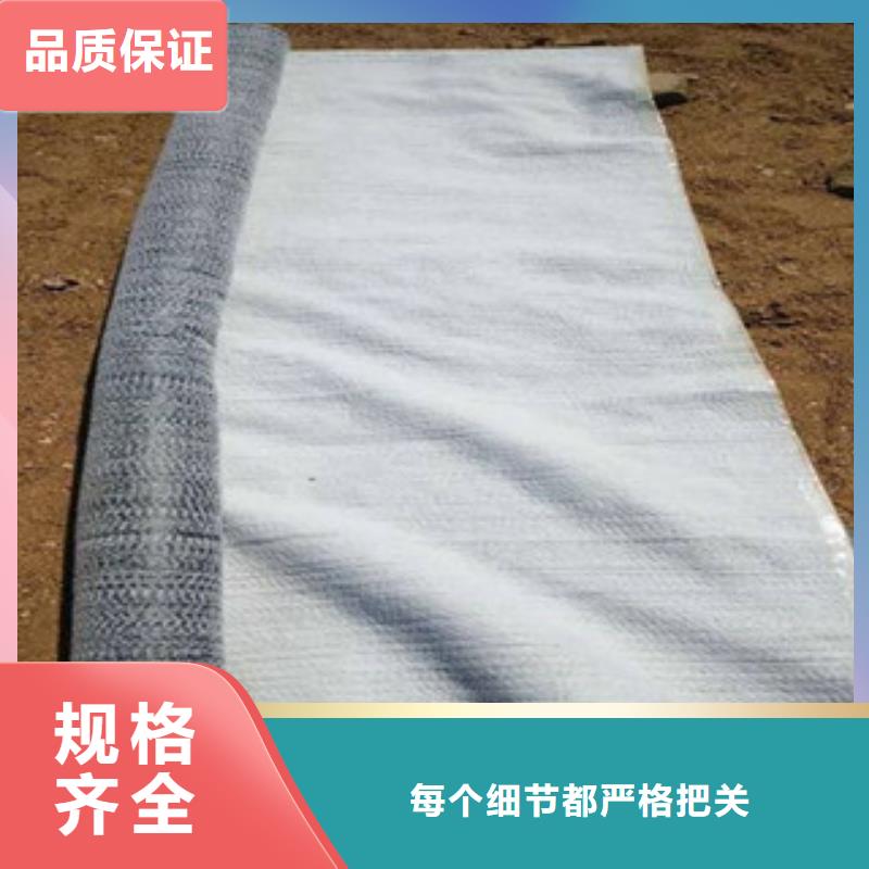 防水毯-双向塑料土工格栅N年大品牌