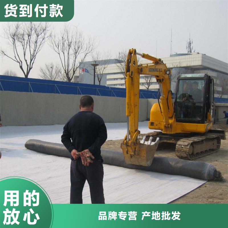 防水毯雙向塑料土工格柵買的放心安興用的舒心