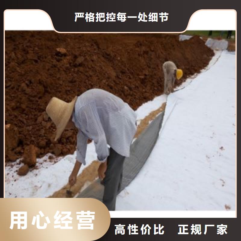 防水毯雙向塑料土工格柵買的放心安興用的舒心
