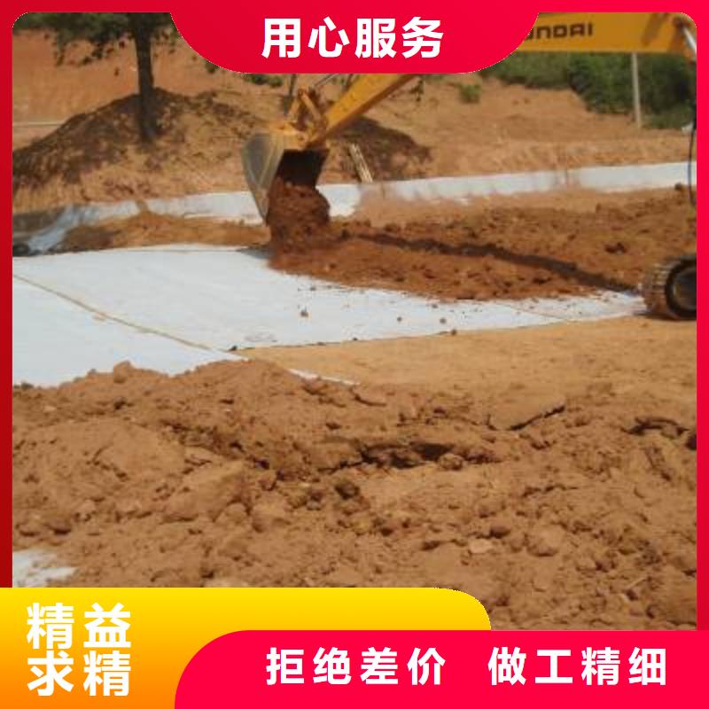 防水毯膨潤土防水毯有口皆碑