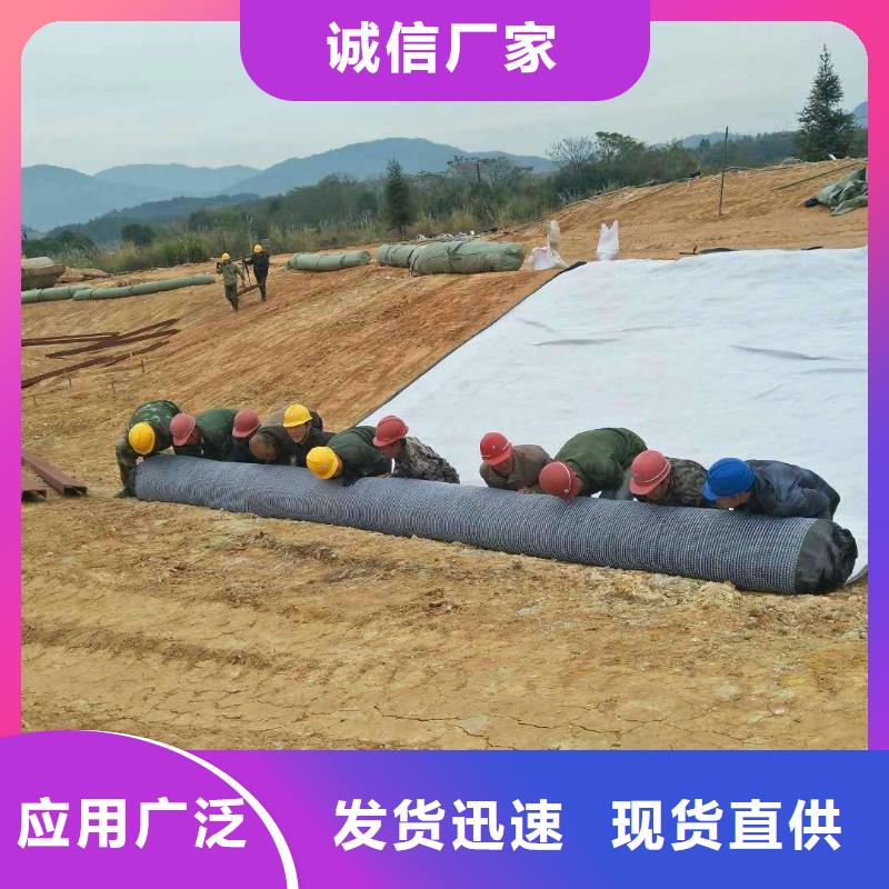 防水毯雙向塑料土工格柵買的放心安興用的舒心