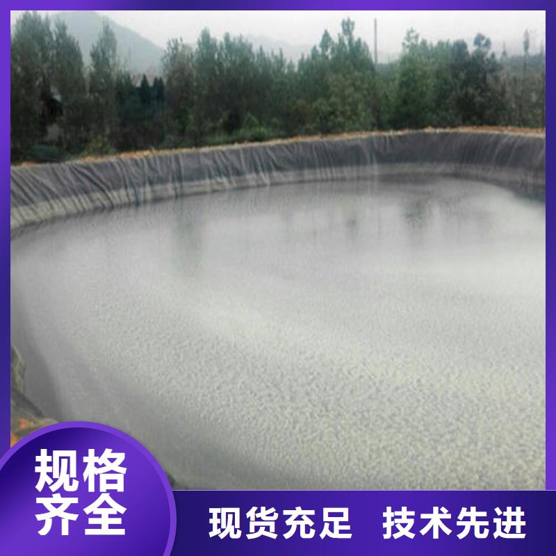 土工膜钢塑土工格栅厂家匠心制造