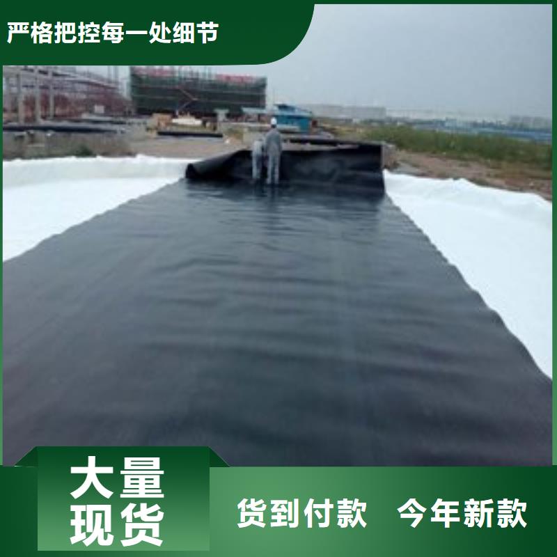 土工膜钢塑土工格栅厂家匠心制造