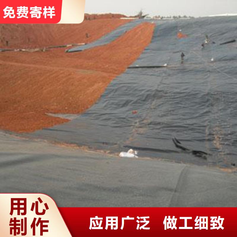土工膜鋼塑土工格柵廠家匠心制造