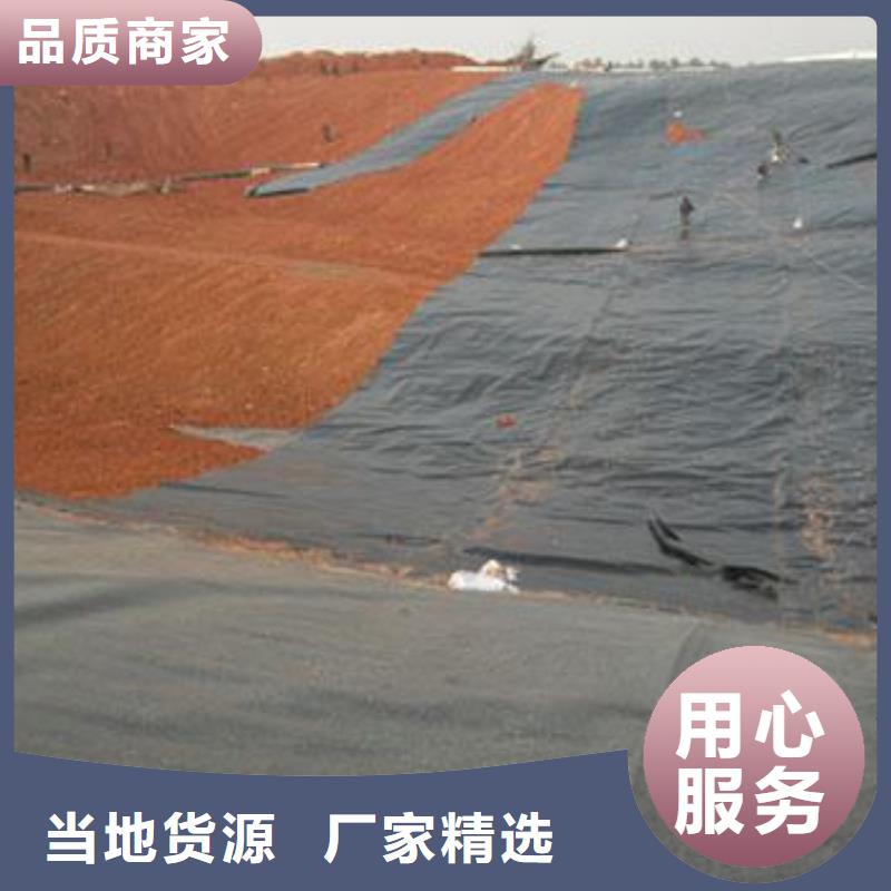 土工膜_钢塑土工格栅种类齐全