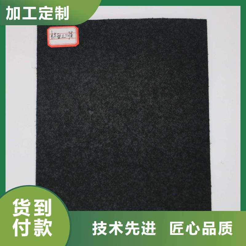 土工膜聚丙烯雙拉土工格柵產(chǎn)地工廠