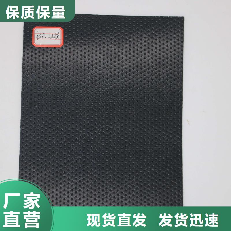 土工膜单向塑料土工格栅多家仓库发货