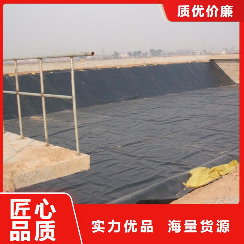 土工膜钢塑土工格栅厂家质量可靠