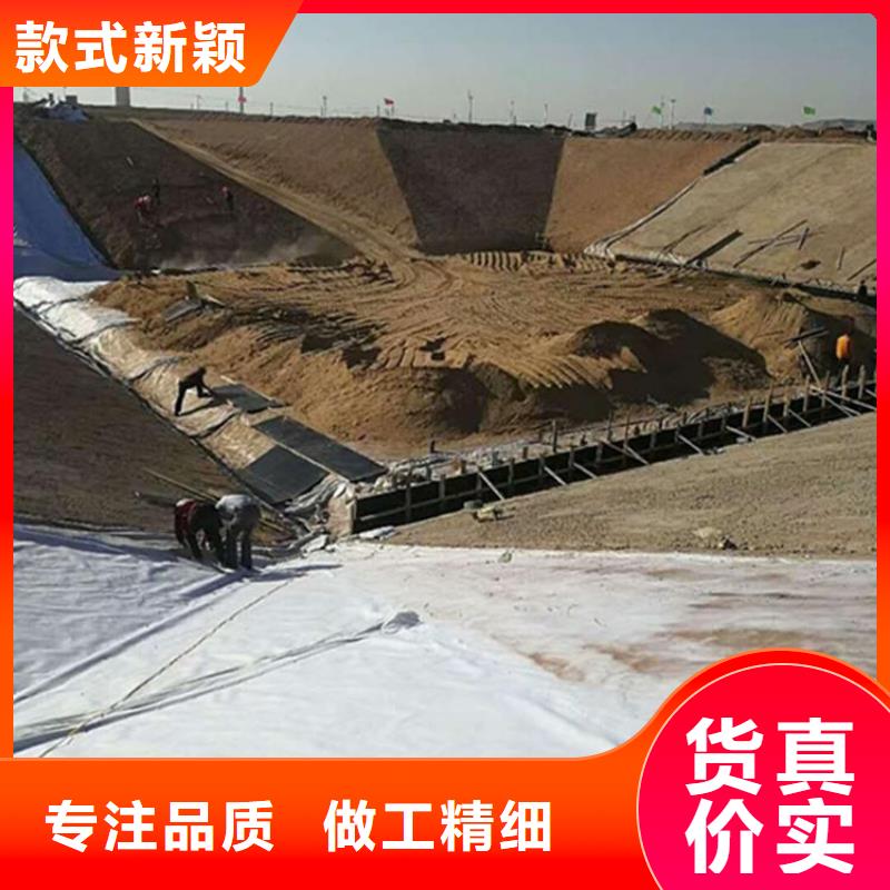 土工膜鋼塑土工格柵廠家匠心制造