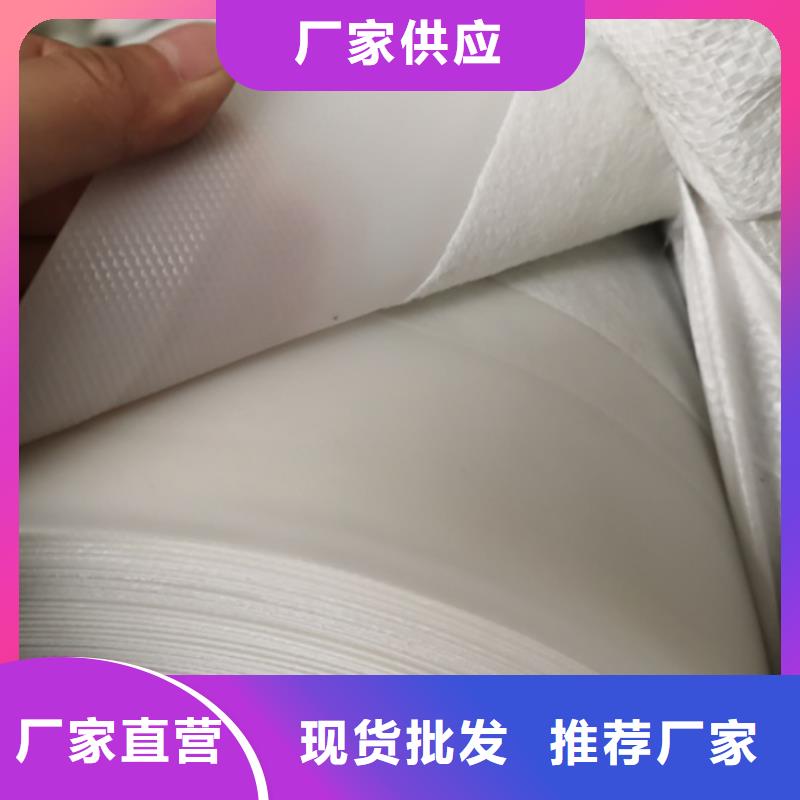 土工膜塑料盲沟认准大品牌厂家