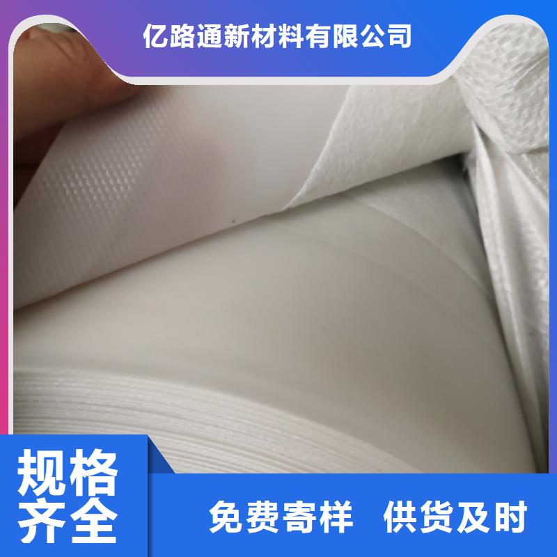土工膜聚丙烯雙拉土工格柵產(chǎn)地工廠