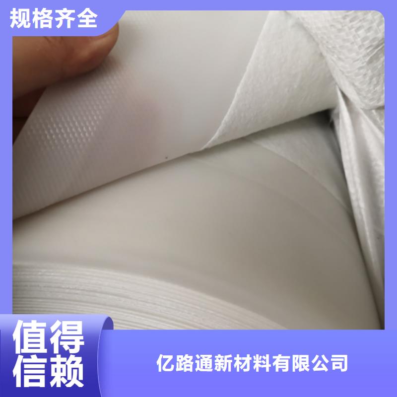 土工膜单向塑料土工格栅多家仓库发货