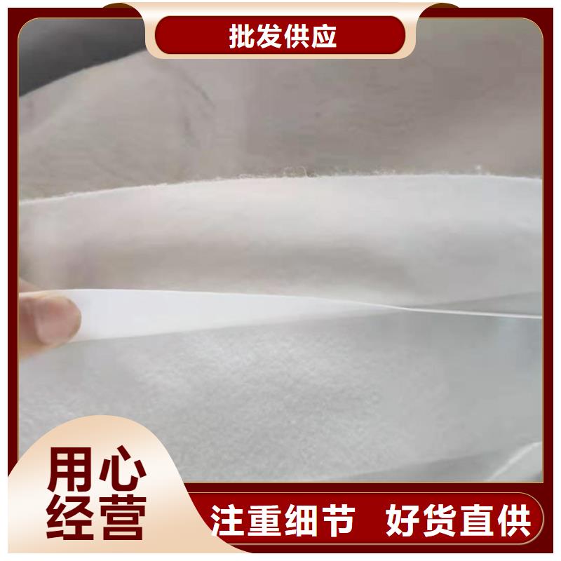 土工膜鋼塑土工格柵多種規(guī)格庫存充足