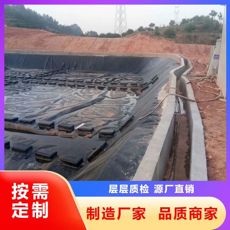 土工膜聚丙烯雙拉土工格柵產(chǎn)地工廠