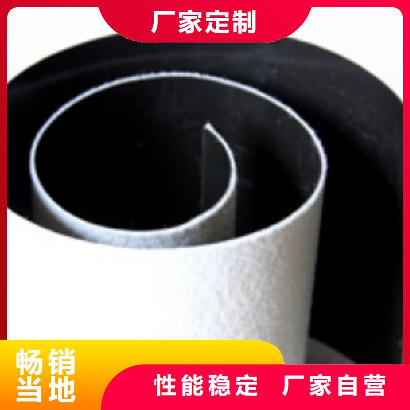 土工膜聚丙烯雙拉土工格柵產(chǎn)地工廠