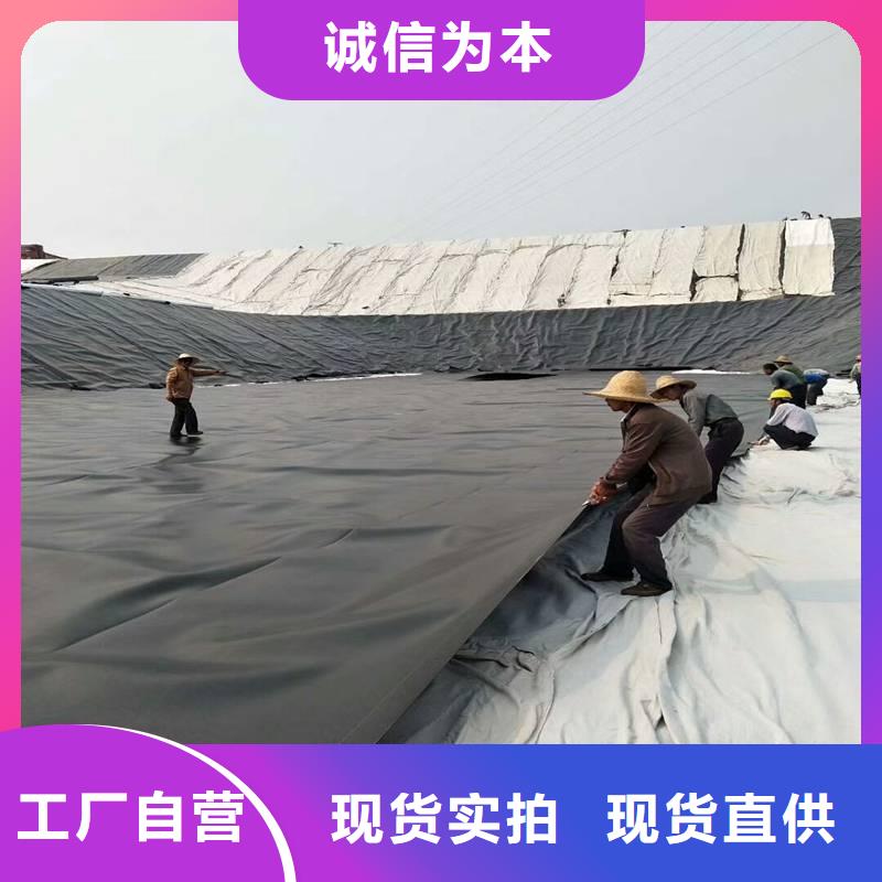 土工膜短丝土工布用品质赢得客户信赖