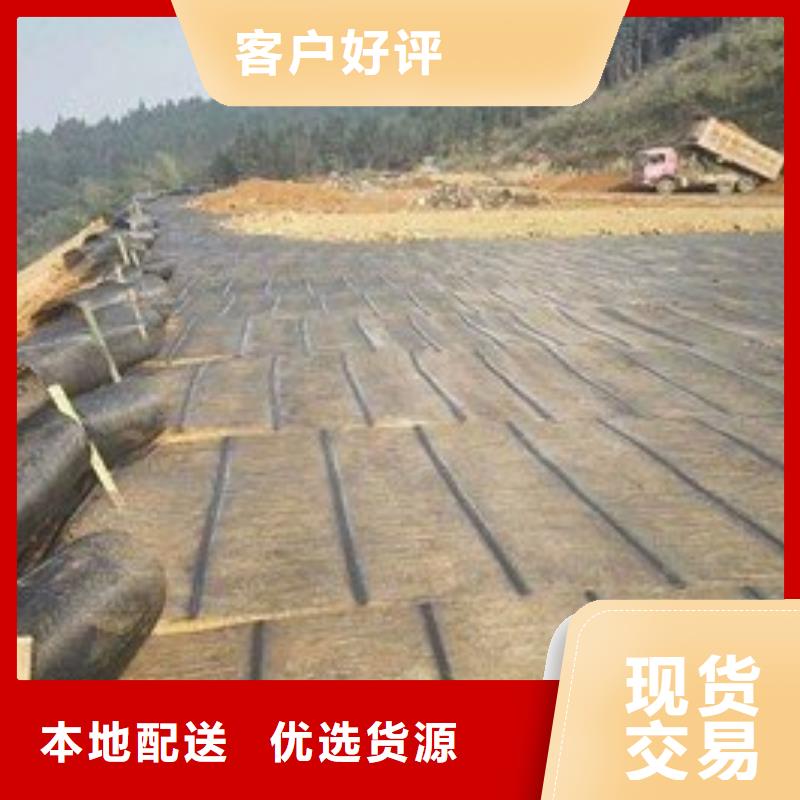 土工格柵,單向塑料土工格柵價(jià)格實(shí)在