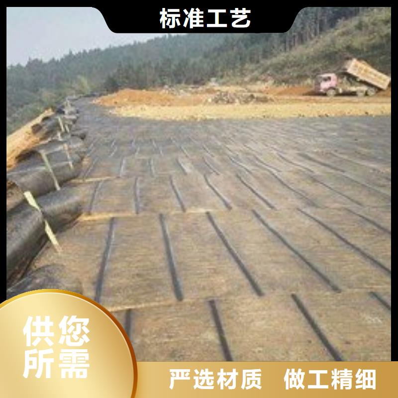 土工格栅,单向塑料土工格栅价格实在