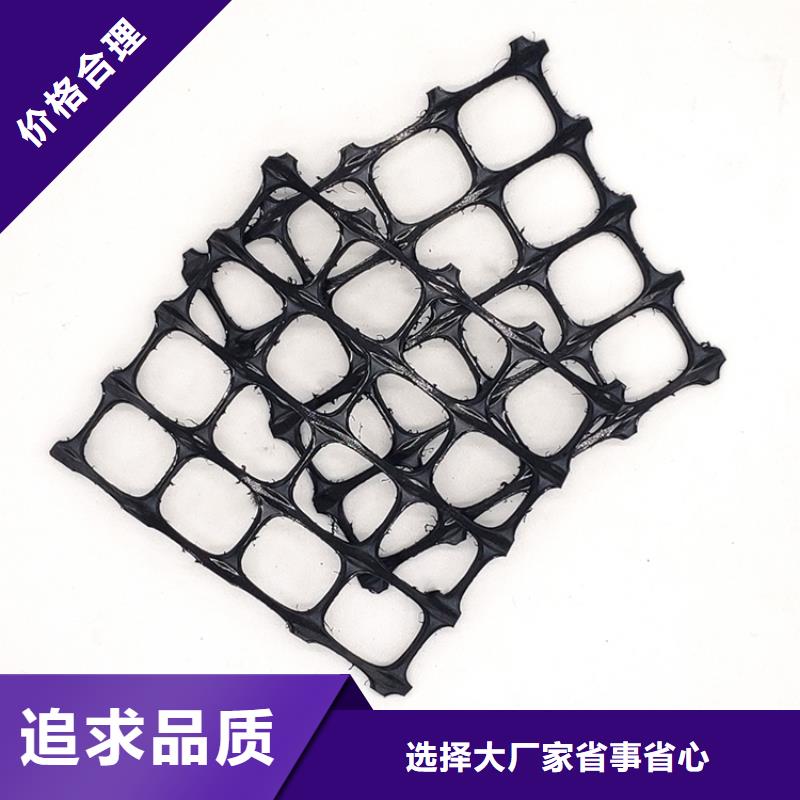 土工格柵護(hù)坡土工網(wǎng)多種工藝