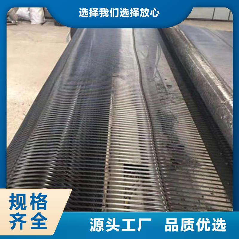 土工格柵玻璃纖維土工格柵工廠直銷