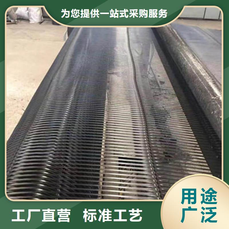 土工格柵滌綸土工格柵實(shí)體廠家支持定制