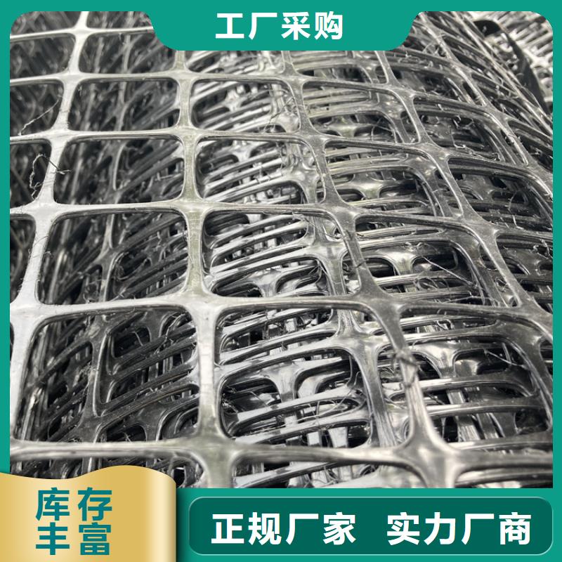 土工格柵滌綸土工格柵實(shí)體廠家支持定制