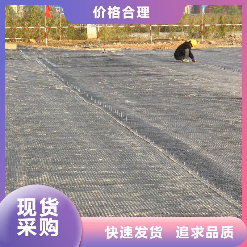 土工格柵,單向塑料土工格柵價格實在