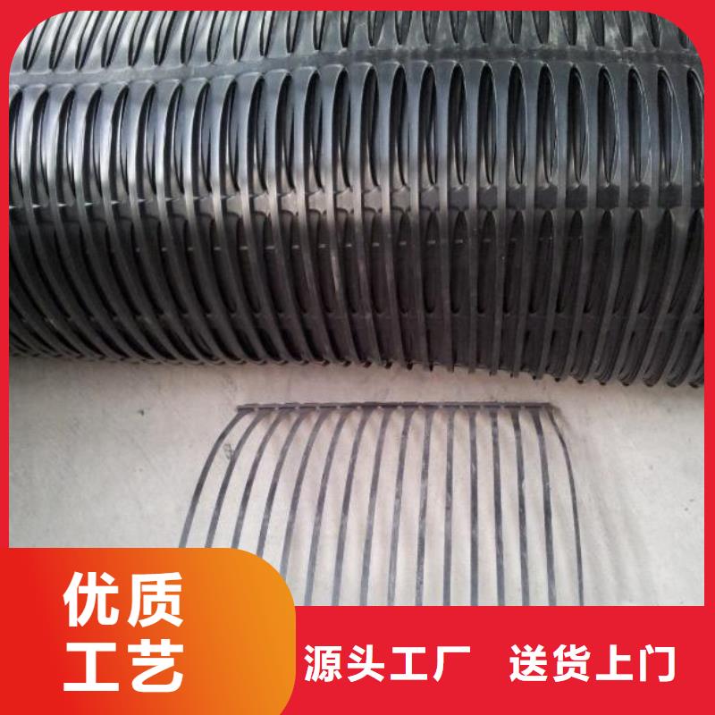 土工格柵滌綸土工格柵實(shí)體廠家支持定制