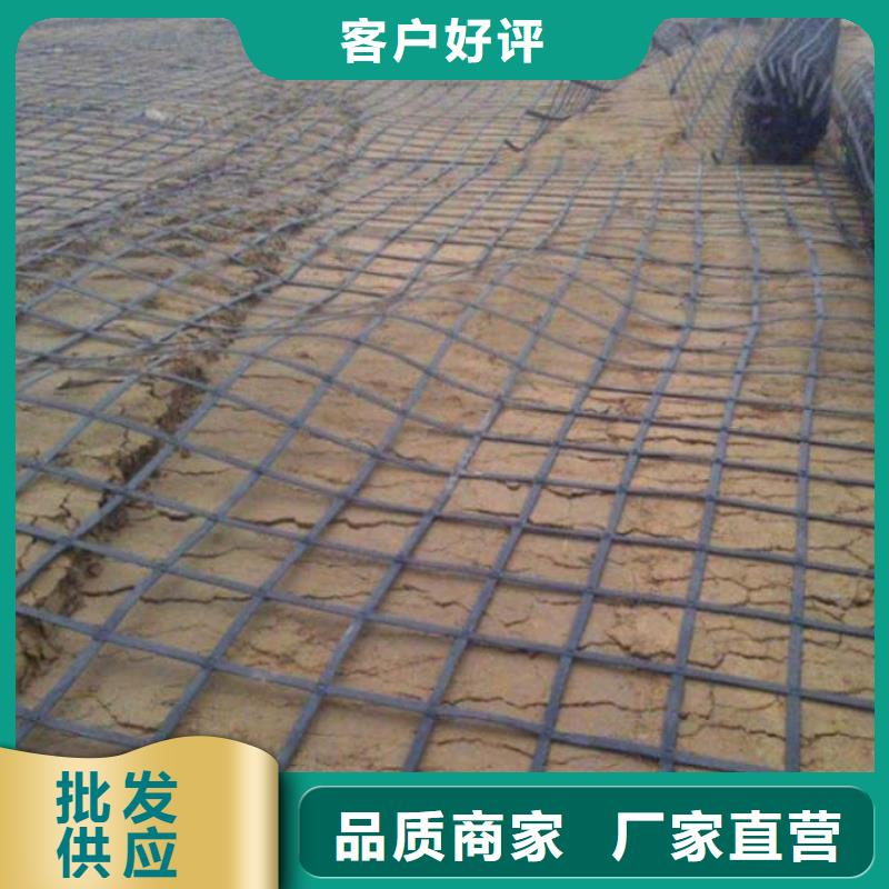 土工格柵凸結(jié)點鋼塑土工格柵選擇我們沒錯