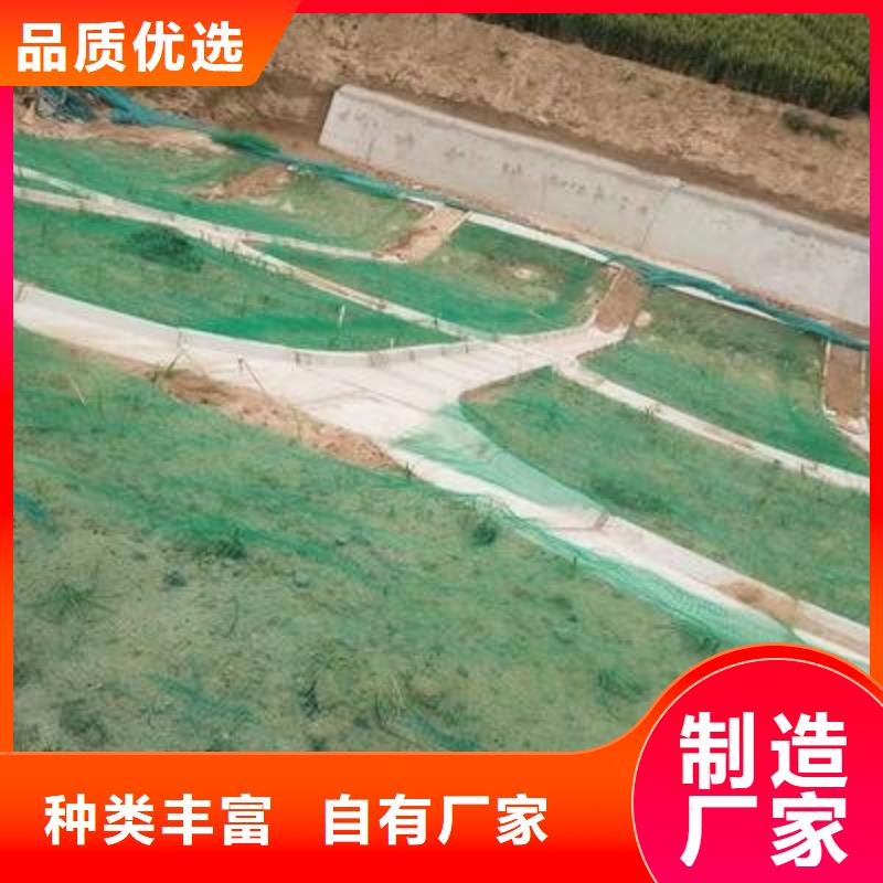 三維植被網(wǎng)復(fù)合土工膜行業(yè)優(yōu)選