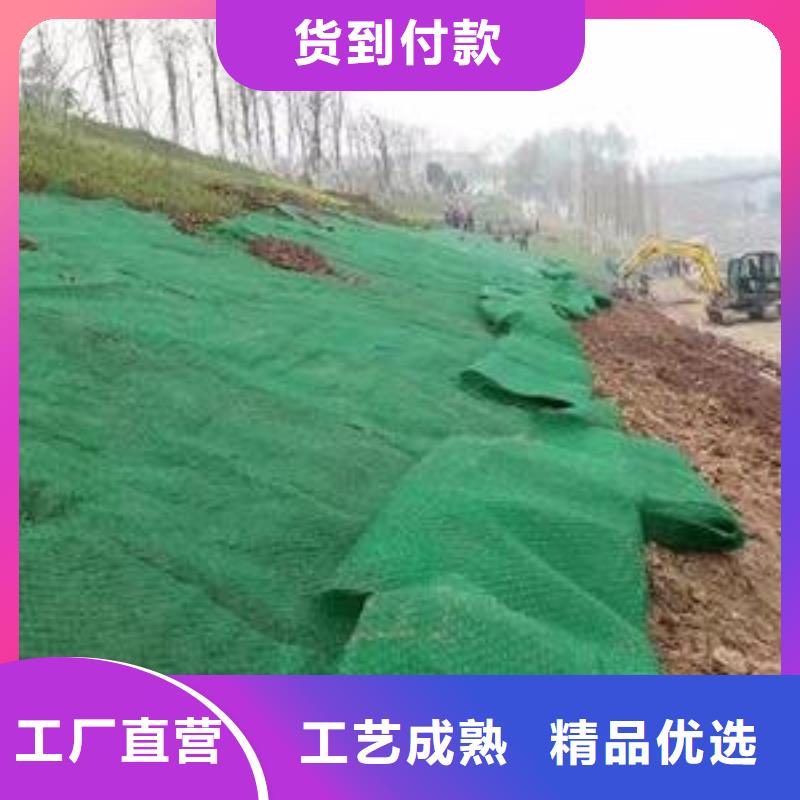 三維植被網(wǎng),雙向塑料土工格柵免費(fèi)詢價(jià)