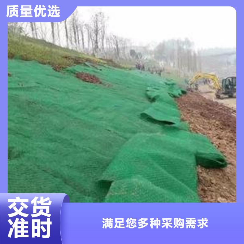 三維植被網(wǎng)土工膜老品牌廠家
