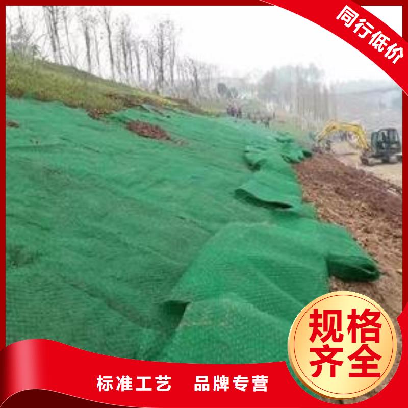 三維植被網(wǎng)土工膜用心做好細(xì)節(jié)