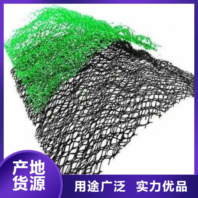 三維植被網(wǎng)復(fù)合土工膜行業(yè)優(yōu)選