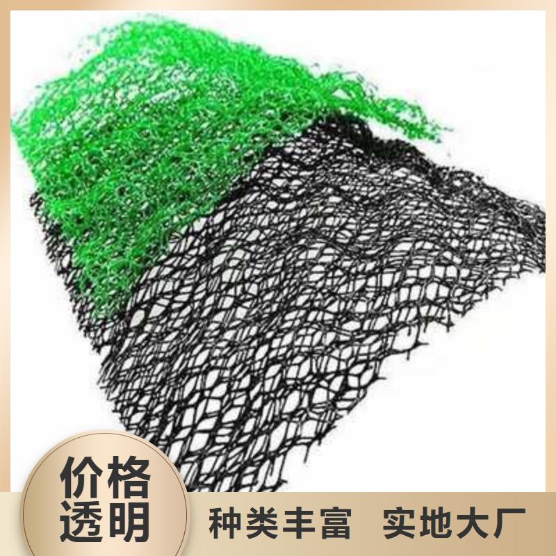三维植被网,土工布价格拒绝伪劣产品