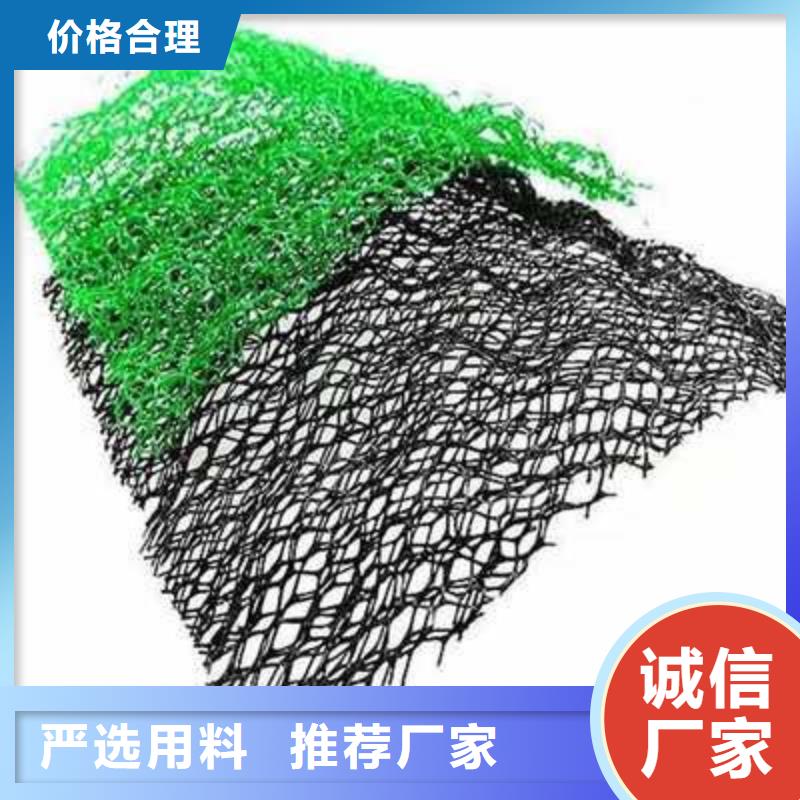 三维植被网塑料盲沟可放心采购
