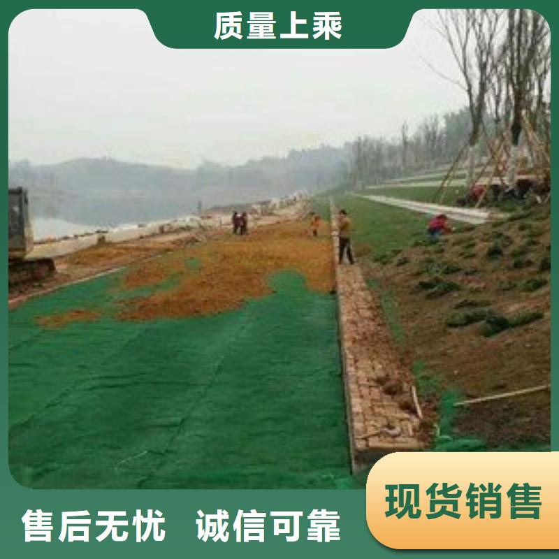 三维植被网塑料盲沟可放心采购