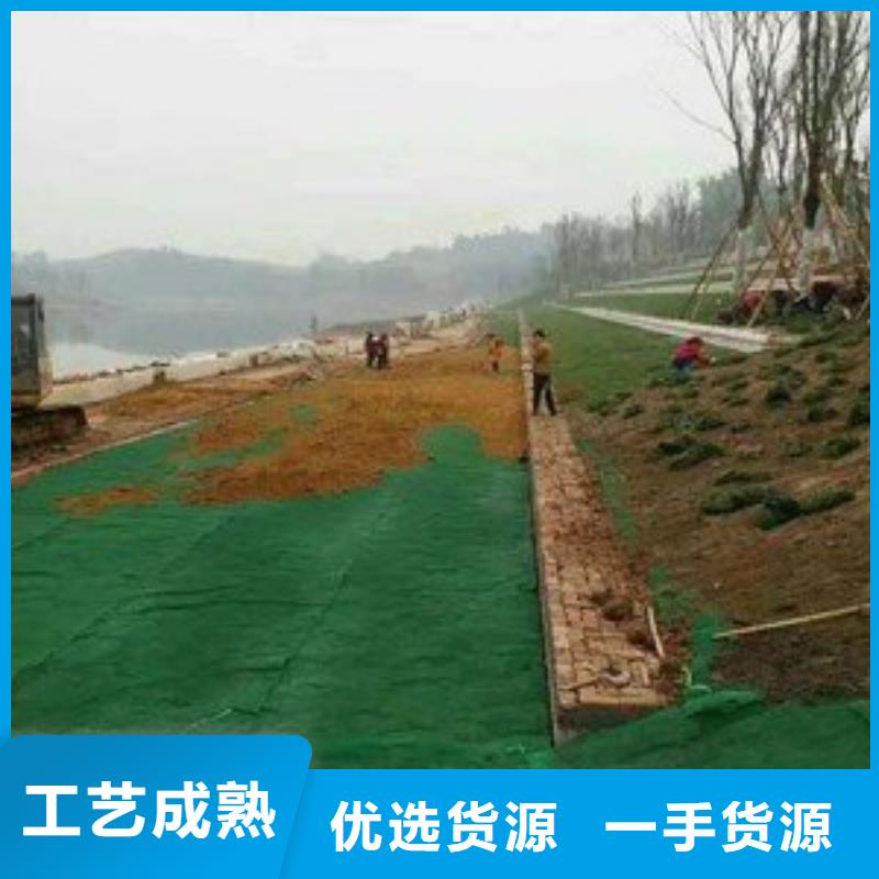 三維植被網(wǎng)復(fù)合土工膜行業(yè)優(yōu)選