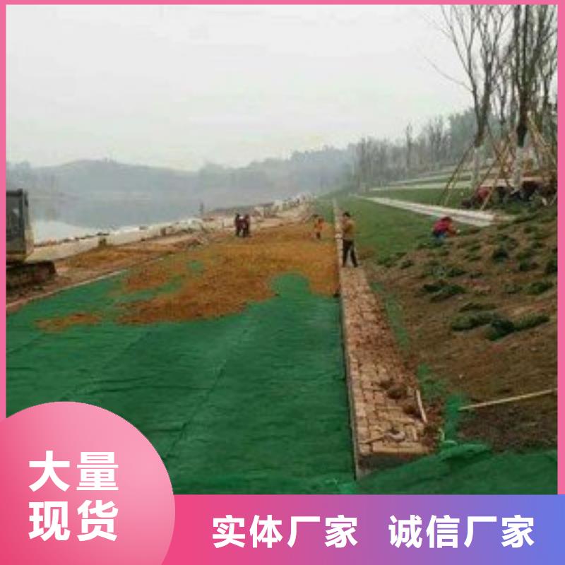 三維植被網(wǎng)復(fù)合土工膜行業(yè)優(yōu)選