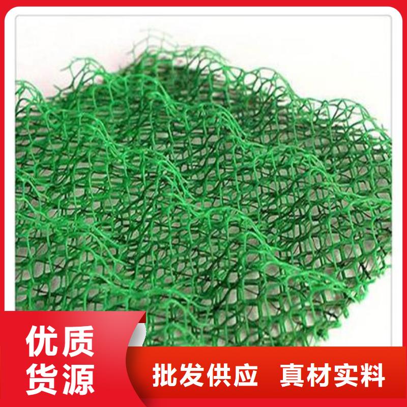 三维植被网,土工布价格拒绝伪劣产品