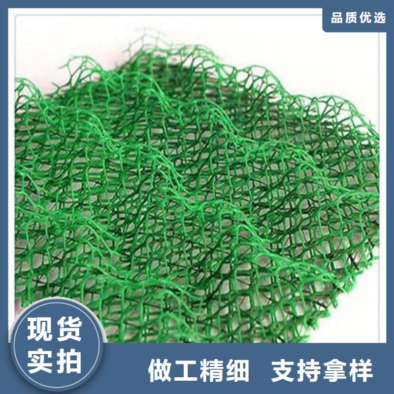 三维植被网土工膜老品牌厂家