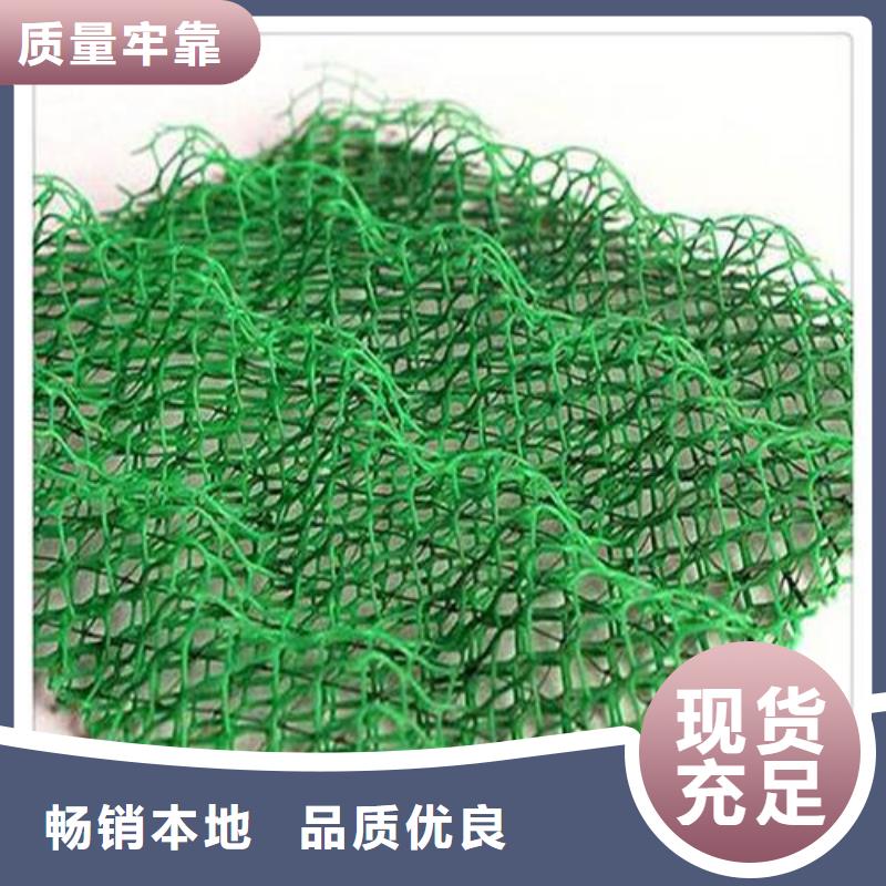 三維植被網(wǎng),雙向塑料土工格柵免費(fèi)詢價(jià)