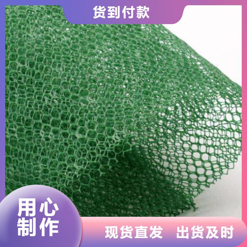 三維植被網(wǎng)塑料盲溝可放心采購