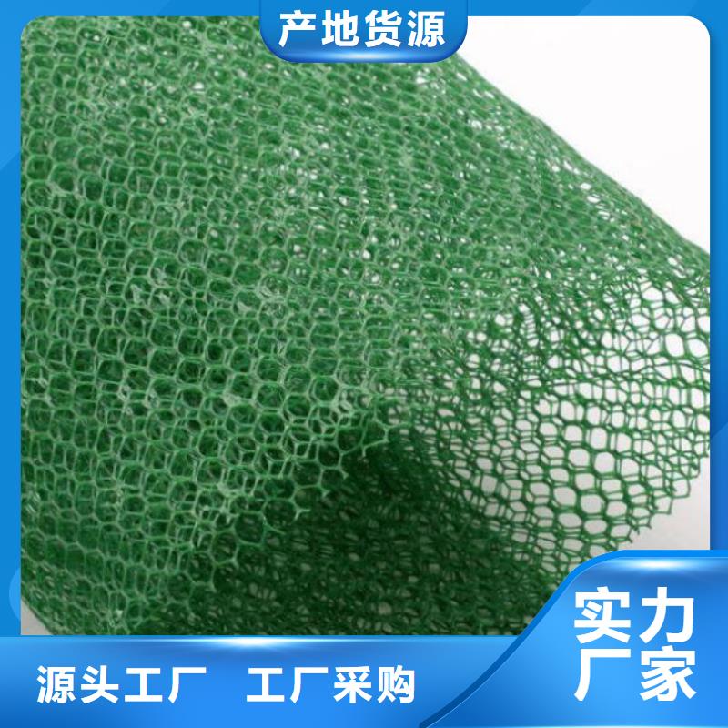 三維植被網(wǎng)土工格室型號(hào)全價(jià)格低