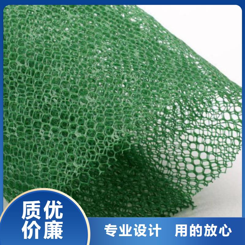 三維植被網(wǎng)HDPE土工膜廠家直銷供貨穩(wěn)定