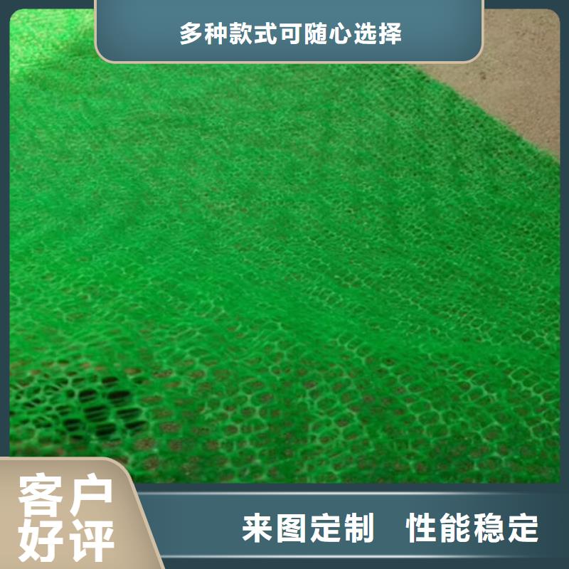 三維植被網(wǎng)-土工格室海量貨源