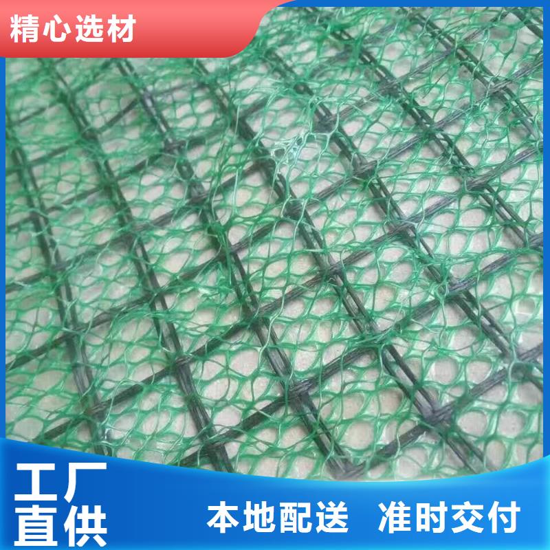 三維植被網(wǎng),雙向塑料土工格柵免費(fèi)詢價(jià)