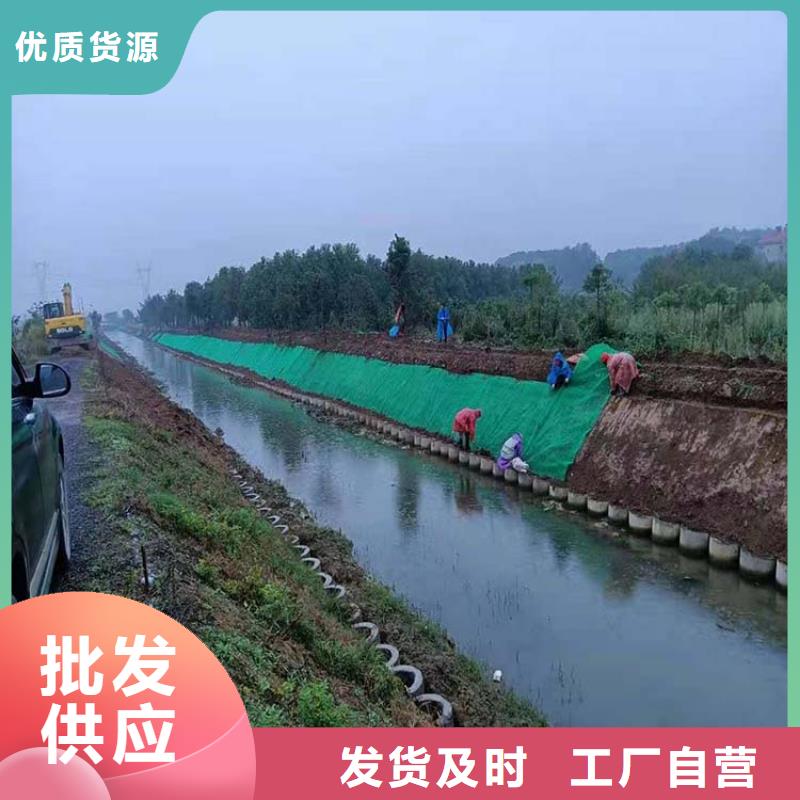三维植被网-土工格室海量货源