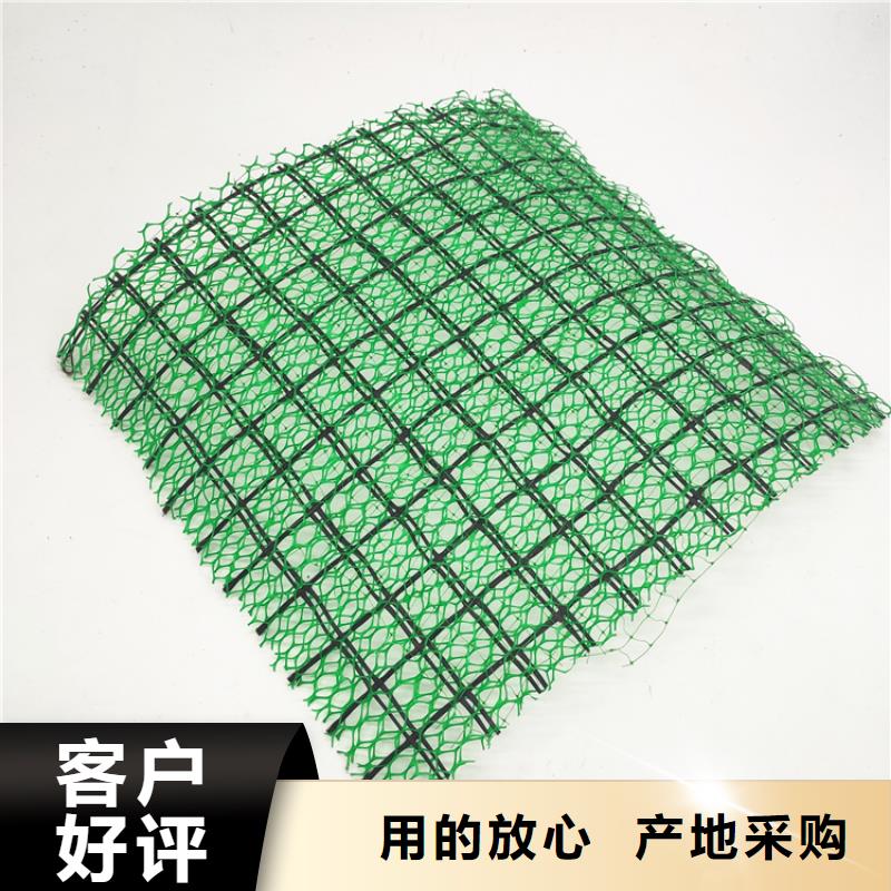 三维植被网土工膜老品牌厂家